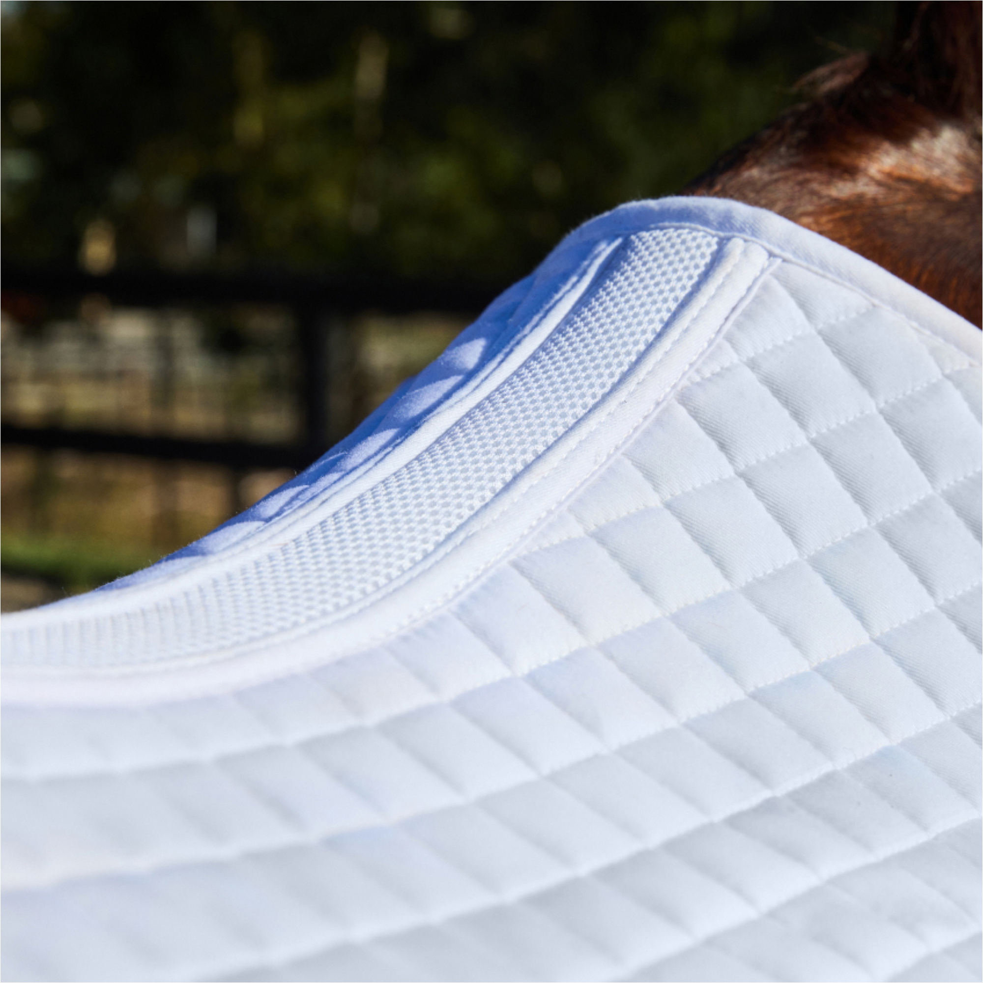2025 Weatherbeeta Prime Air-Tec Dressage Saddle Pad 1028250 - White